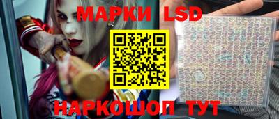 тгк Кингисепп
