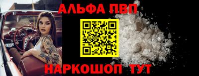 тгк Кингисепп