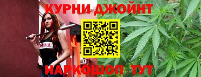 тгк Кингисепп