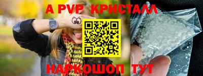 тгк Кингисепп