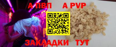 тгк Кингисепп
