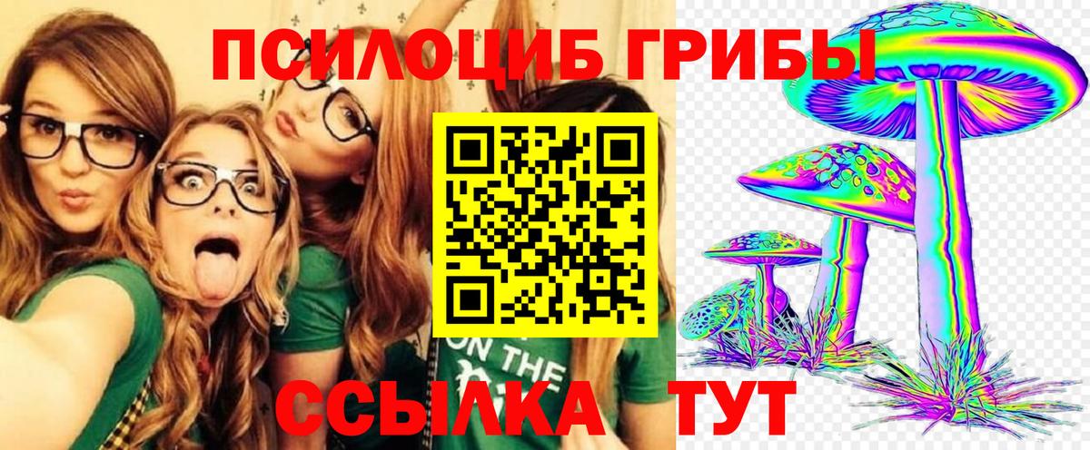 Клин  купить   Вход с VPN  Псилоцибиновые грибы мухоморы 